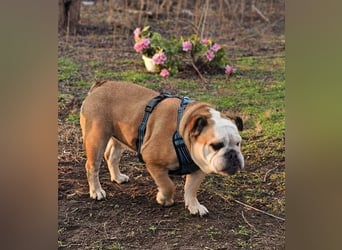 Debby ist freundlich und selbstbewusst