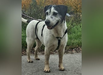 Dona - die wundervolle