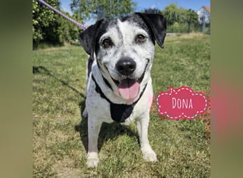 Dona - die wundervolle