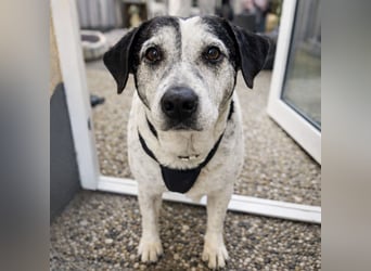 Dona - die wundervolle