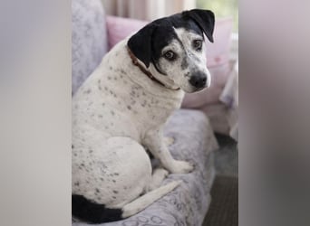 Dona - die wundervolle