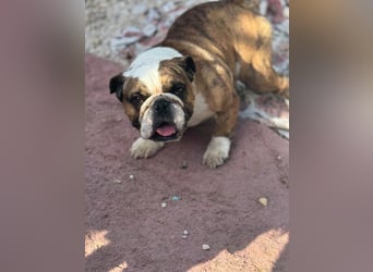 Notfall Manolo hofft auf seine Chance