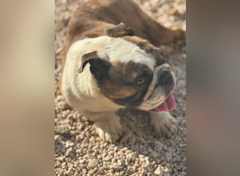 Notfall Manolo hofft auf seine Chance