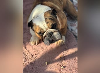 Notfall Manolo hofft auf seine Chance