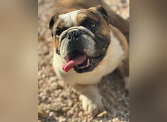 Notfall Manolo hofft auf seine Chance