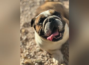 Notfall Manolo hofft auf seine Chance