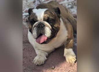 Notfall Manolo hofft auf seine Chance