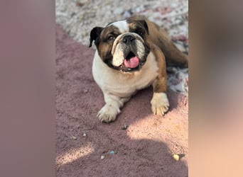 Notfall Manolo hofft auf seine Chance