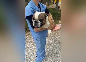 Notfall Manolo hofft auf seine Chance