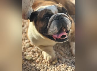 Notfall Manolo hofft auf seine Chance