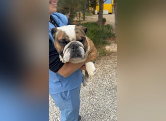 Notfall Manolo hofft auf seine Chance