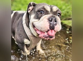 Sally - ist eine Einzelprinzessin