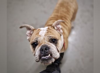 Heaven sucht ihr Für immer Zuhause