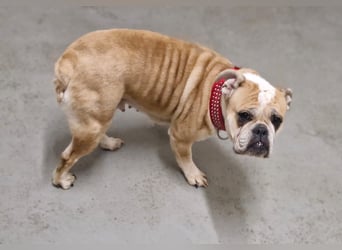 Heaven sucht ihr Für immer Zuhause