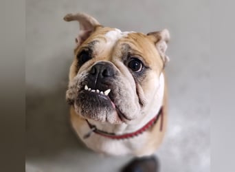 Heaven sucht ihr Für immer Zuhause