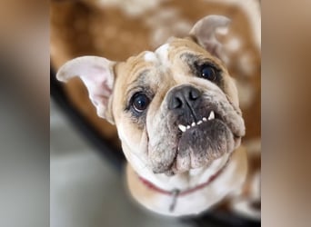 Heaven sucht ihr Für immer Zuhause