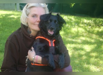 Miss Puma - anhänglich, verschmust, verspielt - Tierhilfe Franken e.V.