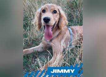 Jimmy