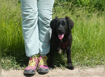 Marley wünscht sich eine Familie