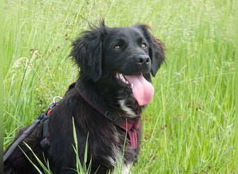 Marley wünscht sich eine Familie