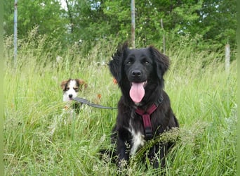 Marley wünscht sich eine Familie