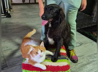 Marley wünscht sich eine Familie