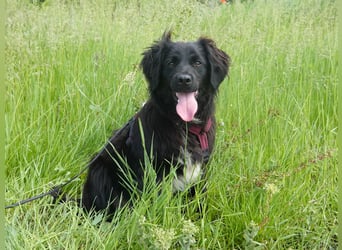 Marley wünscht sich eine Familie
