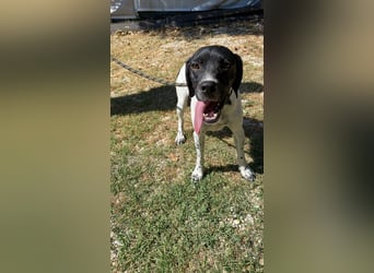 Arno - Zarte Seele sucht ein Zuhause