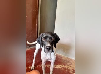 Arno - Zarte Seele sucht ein Zuhause