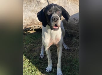 Dalton - Zeit endlich zur Ruhe zu kommen