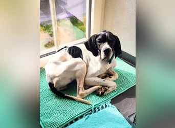 Dalton - Zeit endlich zur Ruhe zu kommen