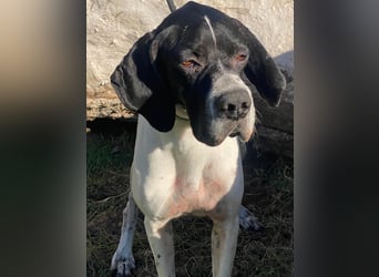 Dalton - Zeit endlich zur Ruhe zu kommen