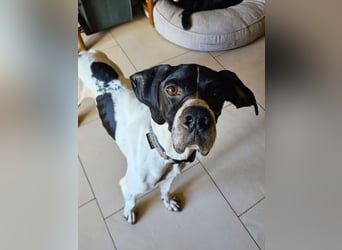 Dalton - Zeit endlich zur Ruhe zu kommen