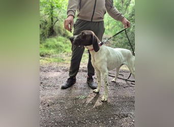 Monty sucht neue Familie!
