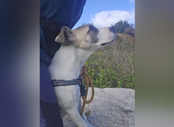 Nicoletta: vom Parkplatz ins schöne Leben