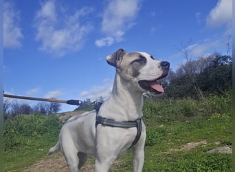 Nicoletta: vom Parkplatz ins schöne Leben