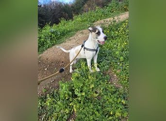 Nicoletta: vom Parkplatz ins schöne Leben