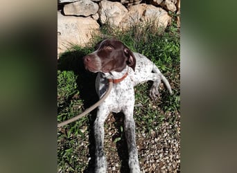 ARTURO-sanft, freundlich, menschenbezogen, fröhlich auf der Suche nach liebevollem Zuhause