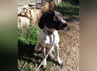 ARTURO-sanft, freundlich, menschenbezogen, fröhlich auf der Suche nach liebevollem Zuhause