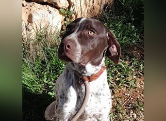 ARTURO-sanft, freundlich, menschenbezogen, fröhlich auf der Suche nach liebevollem Zuhause