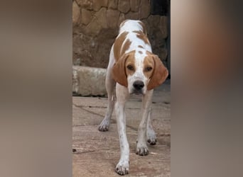 Merlin möchte mit seinen Menschen wachsen
