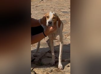Merlin möchte mit seinen Menschen wachsen