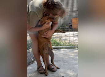 Danai, eine wundervolle Seele sucht ihre eigene Familie