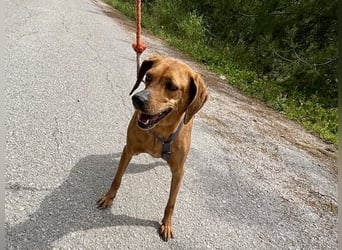 Danai, eine wundervolle Seele sucht ihre eigene Familie