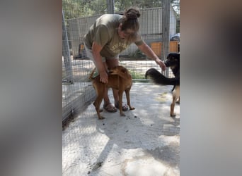Danai, eine wundervolle Seele sucht ihre eigene Familie