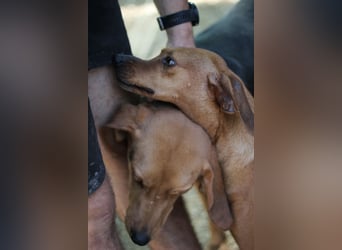 Danai, eine wundervolle Seele sucht ihre eigene Familie