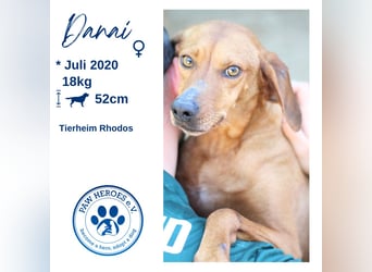Danai, eine wundervolle Seele sucht ihre eigene Familie