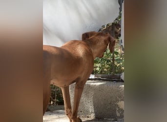 Danai, eine wundervolle Seele sucht ihre eigene Familie