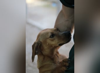 Danai, eine wundervolle Seele sucht ihre eigene Familie