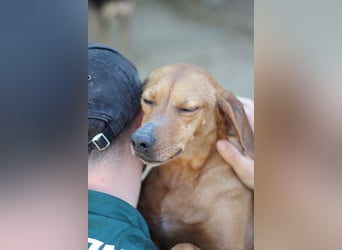 Danai, eine wundervolle Seele sucht ihre eigene Familie